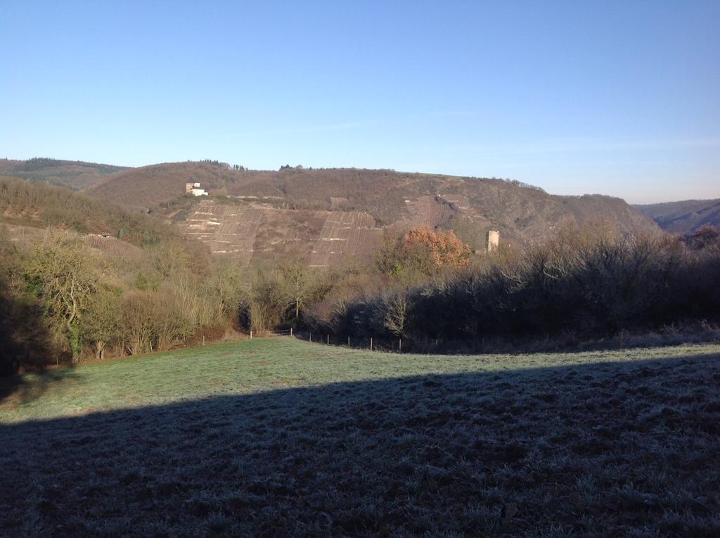 Bauernstube Scheidterhof Lägenhet Kobern-Gondorf Exteriör bild