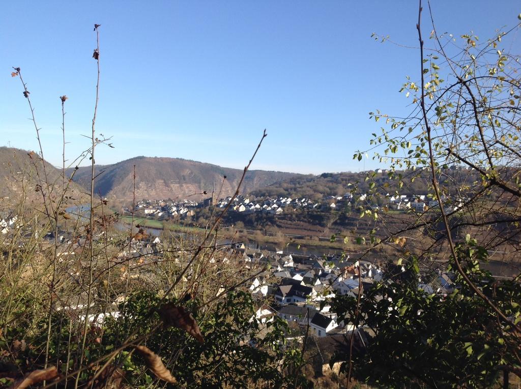 Bauernstube Scheidterhof Lägenhet Kobern-Gondorf Exteriör bild
