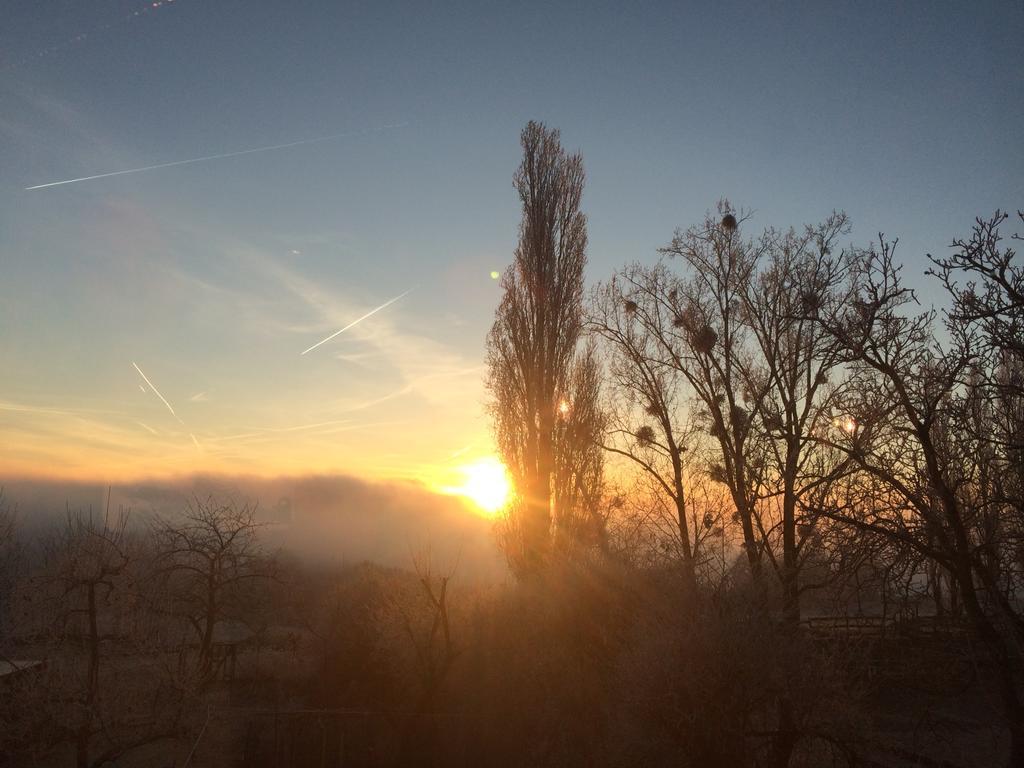 Bauernstube Scheidterhof Lägenhet Kobern-Gondorf Exteriör bild
