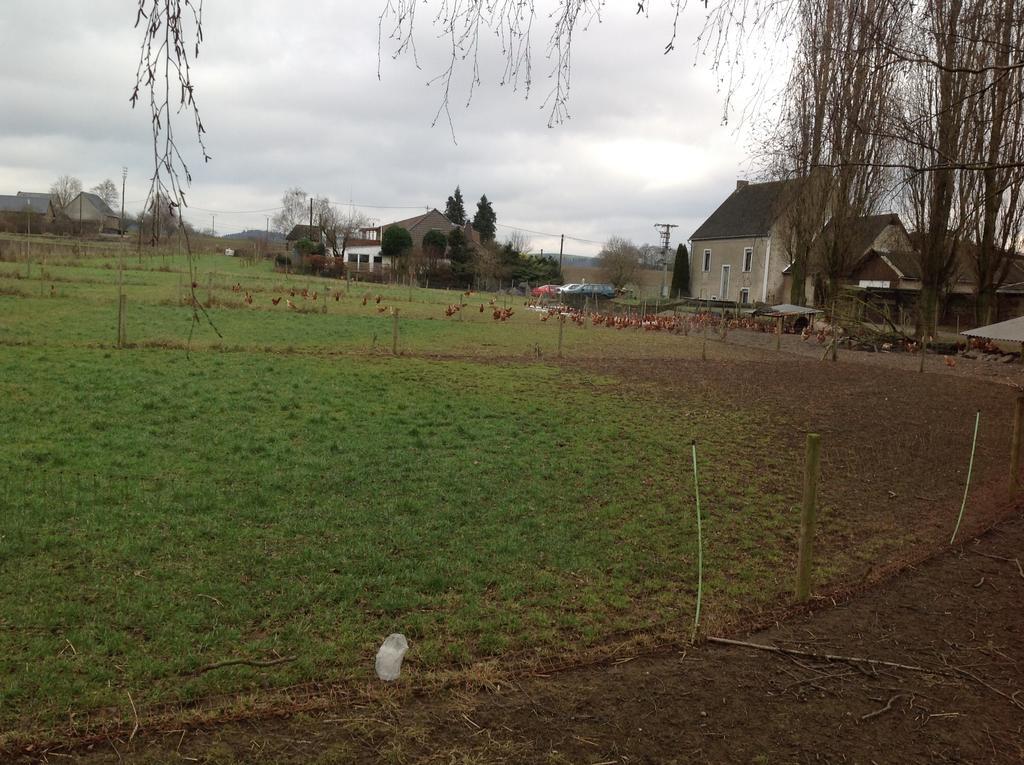 Bauernstube Scheidterhof Lägenhet Kobern-Gondorf Exteriör bild